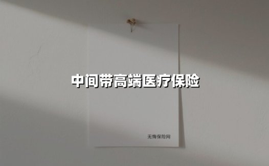 中间带高端医疗保险(2025最新)