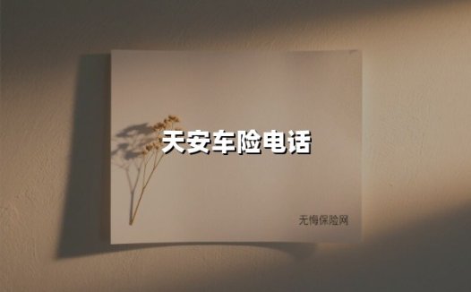 天安车险电话服务全攻略：一键直达的省心保障