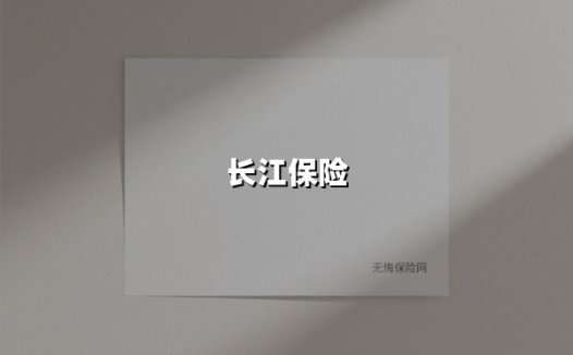 长江保险：以国企担当书写风险管理的时代答卷