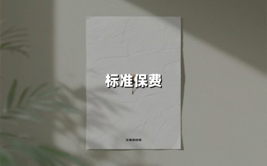 2025年标准保费深度解析：读懂社保与商保的双重保障逻辑