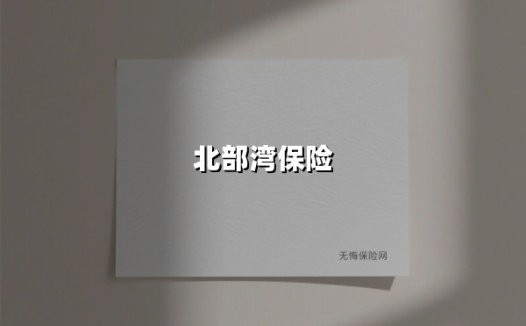 从八桂热土到东盟门户：解码北部湾保险的「双向奔赴」之路
