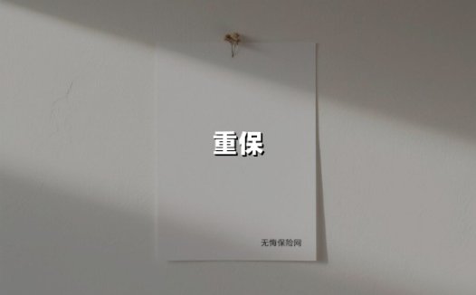 重疾险：百万医疗背后的终极安全锁