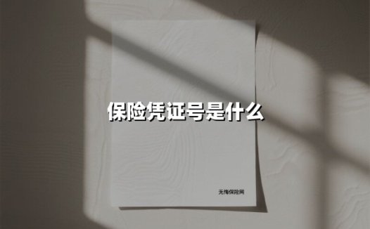 保险凭证号完全指南：从查找到法律效力一站式解析