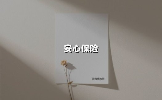 从容应对健康风险：安心保险如何为家庭筑起健康屏障