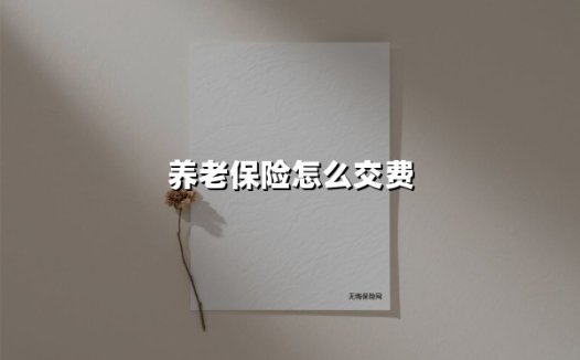 一文说清2025年最新养老保险缴费方式:不同人群这样选最划算