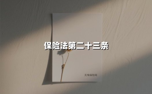 保险法第二十三条：一文讲透理赔时效、权利边界与实务避坑指南