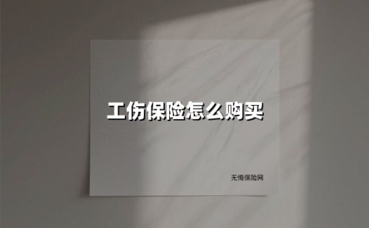 2025最新版｜工伤保险购买全指南：单位个人双通道详解