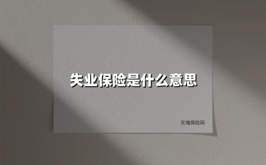 失业保险:你的职场缓冲垫,关键时刻的生活保障