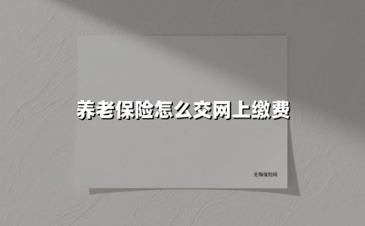 2025年养老保险网上缴费全指南：3分钟掌握轻松参保秘诀