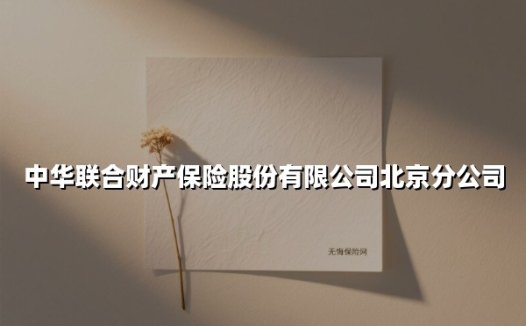 守护首都美好生活:中华财险北京分公司的创新与担当