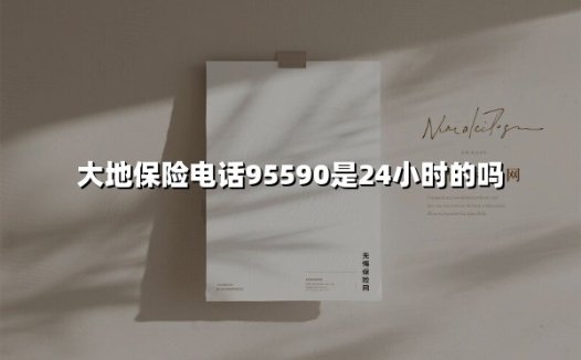 中国大地保险服务热线95590：您身边的24小时风险管家