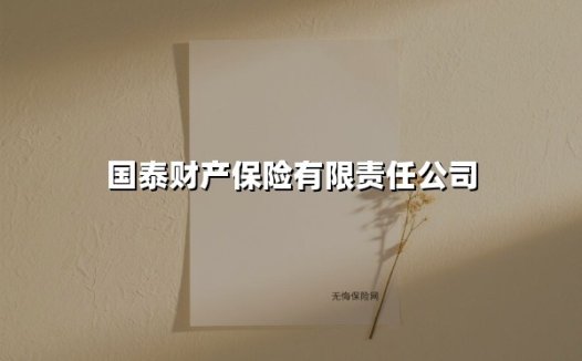 国泰财产保险：从「风险管家」到「智慧护航者」的升维之道
