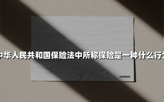 保险：法律框架下的风险契约与社会稳定器