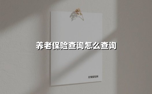 2分钟说清养老保险查询指南：这7种官方方法总有一款适合你