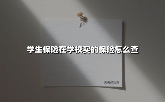 3分钟掌握学生险查询技巧｜从保单查询到理赔的全流程指南