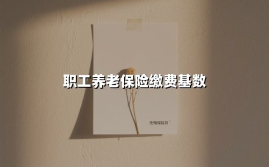 2025年职工养老保险缴费基数全解析:你的养老钱这样算!