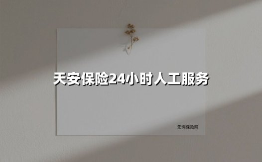 全天候守护丨天安保险24小时人工服务如何为您解忧?
