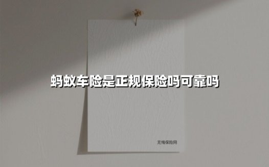 蚂蚁车险正规吗？深度揭秘支付宝保险服务的可靠性与选择策略