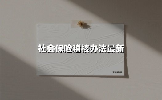 2025年社会保险稽核办法全解析:企业该如何避免社保合规风险?
