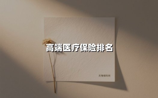 2025高端医疗保险排名TOP3：精英家庭的医疗安全感从何而来？