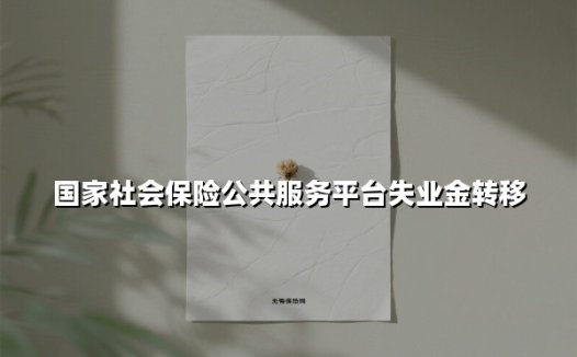 2025年失业金转移政策解读：从操作指南到避坑指南的全流程详解