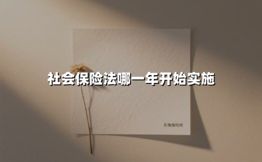 《社会保险法》十周年再回首：守护十四亿人的社会保障网