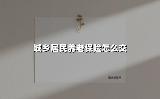 城乡居民养老保险缴费指南：3种主流方式实操解析