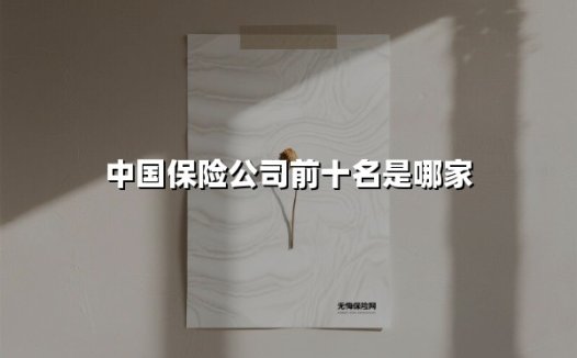 2023年中国十大保险公司综合实力盘点:谁在领跑行业?
