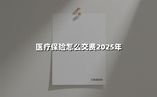 2025年医疗保险缴费指南:抓住最后期限,避免待遇中断!