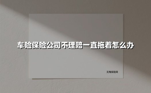 车险理赔被拖延?三步教你强势维权