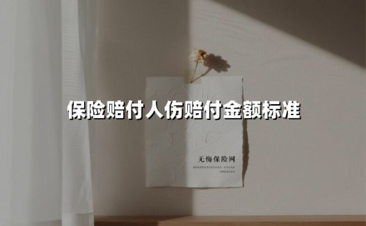 2025最新人伤保险赔付金额标准全解析：从医疗费到死亡赔偿的完整指南
