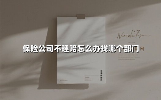 保险理赔被拒怎么办?五大维权途径助你拿回合法权益