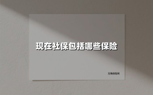 2025最新解析：我国社保五大险种到底保什么？（附深度指南）