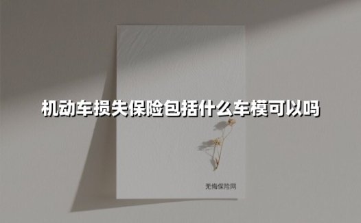 买了车损险究竟能赔啥？看完这份避坑指南心里有底了