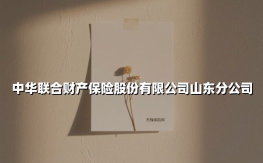 守护齐鲁大地18载:中华财险山东分公司的民生服务密码