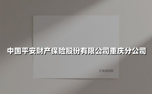 守护山城美好生活 中国平安财产保险重庆分公司的责任与担当