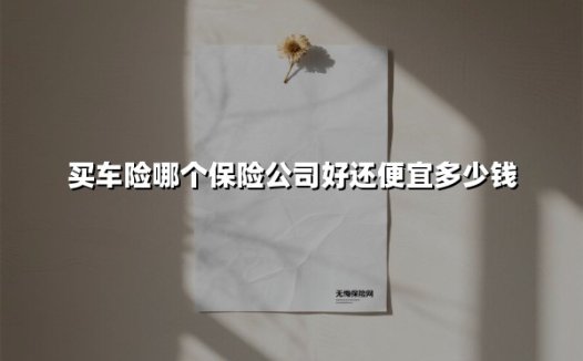 2024买车险指南:哪家保险公司性价比最高?内行教你省30%保费