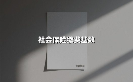 2025最新解读:社会保险缴费基数怎么算?事关你的钱袋子