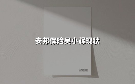 吴小晖案终局与安邦遗产重构：一个金融帝国的瓦解与重生