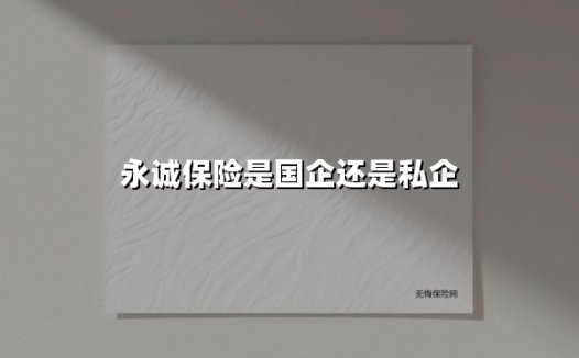 永诚保险：央企背景的全国性险企如何构筑发展护城河？