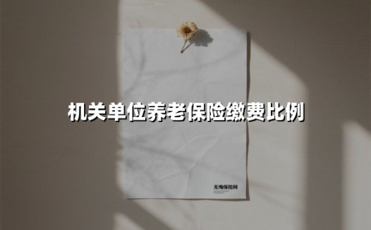 机关单位养老保险缴费比例全解析：2025年最新政策指南