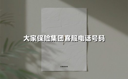 守护永不掉线!揭秘大家保险客服电话95569的24小时贴心服务