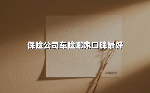 2023年中国车险口碑排行榜：这5家公司为什么被车主疯狂点赞？