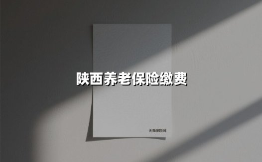 2025年陕西养老保险缴费指南：选对档次，晚年无忧