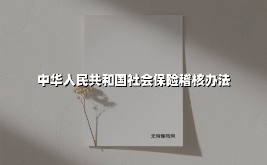 2025年中国社会保险稽核新政解读:合规操作指南与企业应对策略