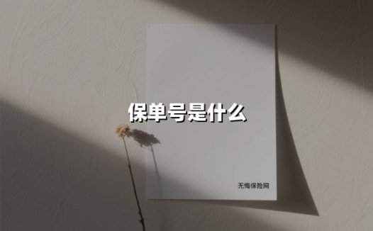保单号：保险合同的关键钥匙，如何守护你的保障权益？