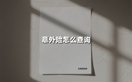 2025最新指南｜意外险查询全攻略：3分钟找到你的保单“保险箱”