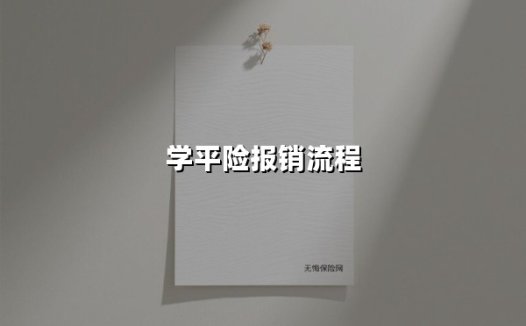 2025最新指南:学平险报销全流程解析(附避坑攻略)