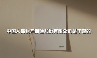 中国人民财产保险股份有限公司：守护万家灯火的金融巨舰
