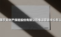 中国平安产险电话营销中心：精准服务背后的硬实力